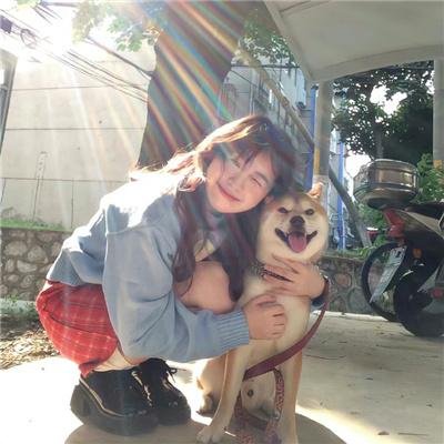 惹不起的宫主大人